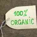 Organic Cotton
